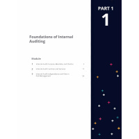 pages_from_pages_from_u1_foundations_of_internal_auditing_page_1